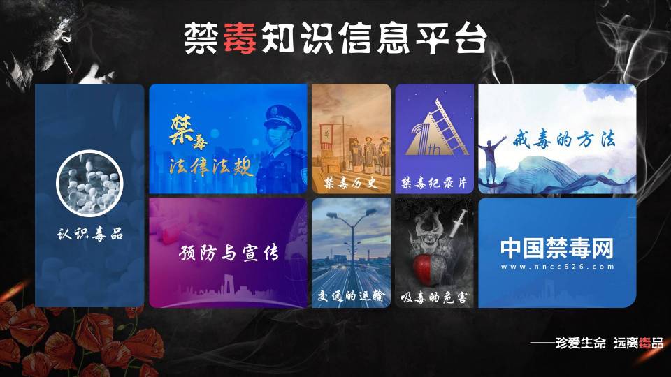 禁毒知识宣传展示平台-展厅禁毒查询软件
