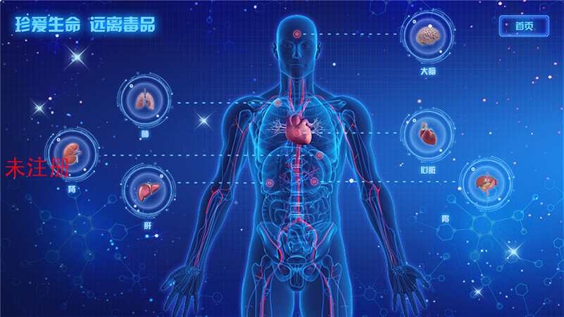 吸毒对器官危害科普系统