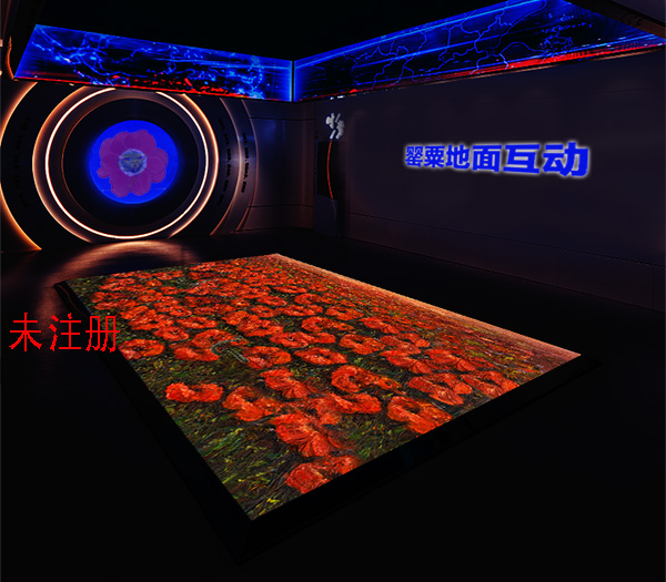 罂粟花海投影互动系统