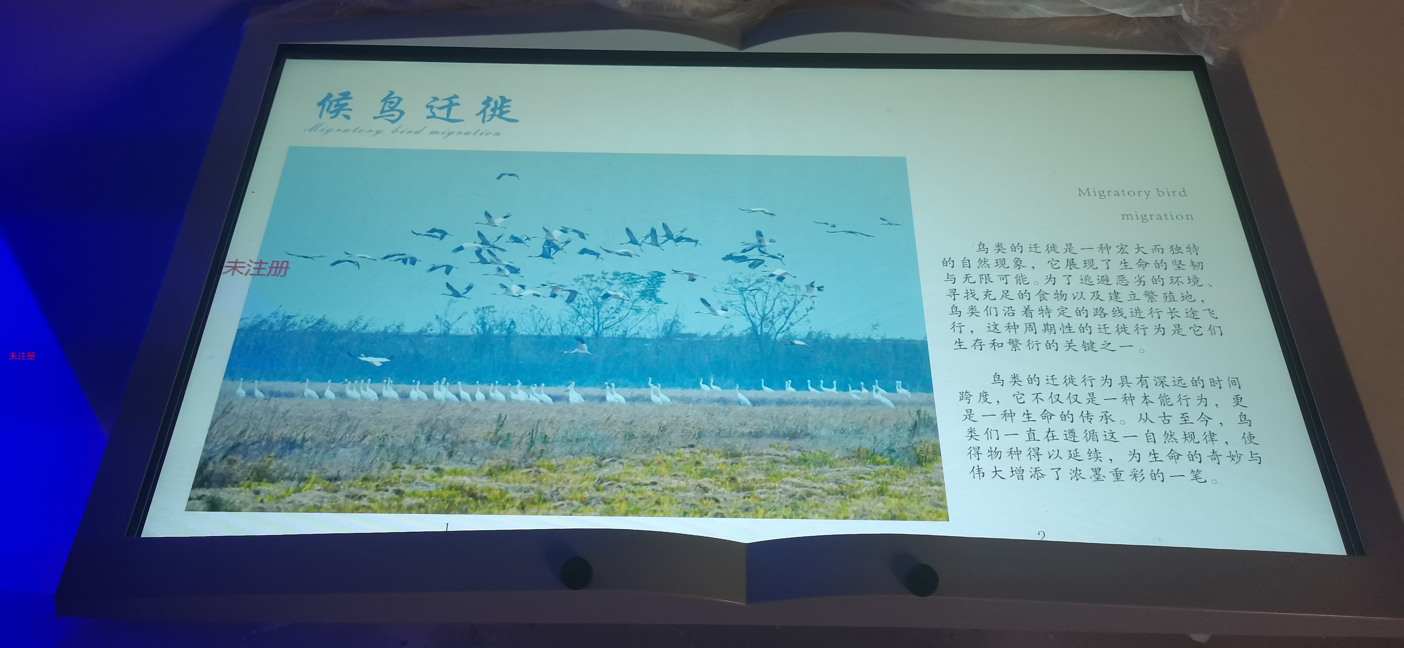 翻书投影互动系统