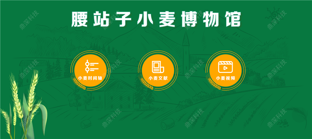 时间轴互动软件
