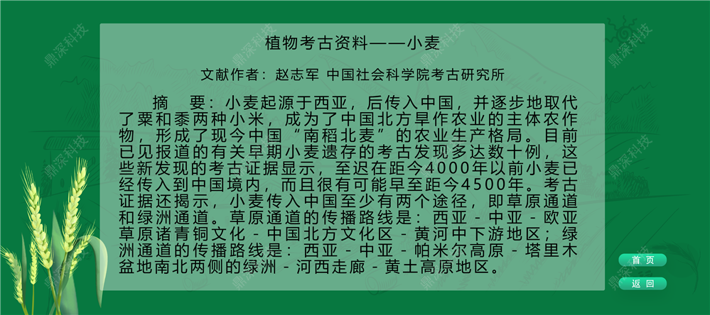 企业发展历程展示软件
