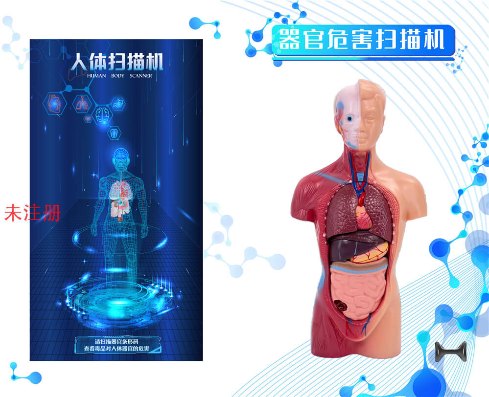 器官危害扫描科普设备-器官危害扫描互动设备